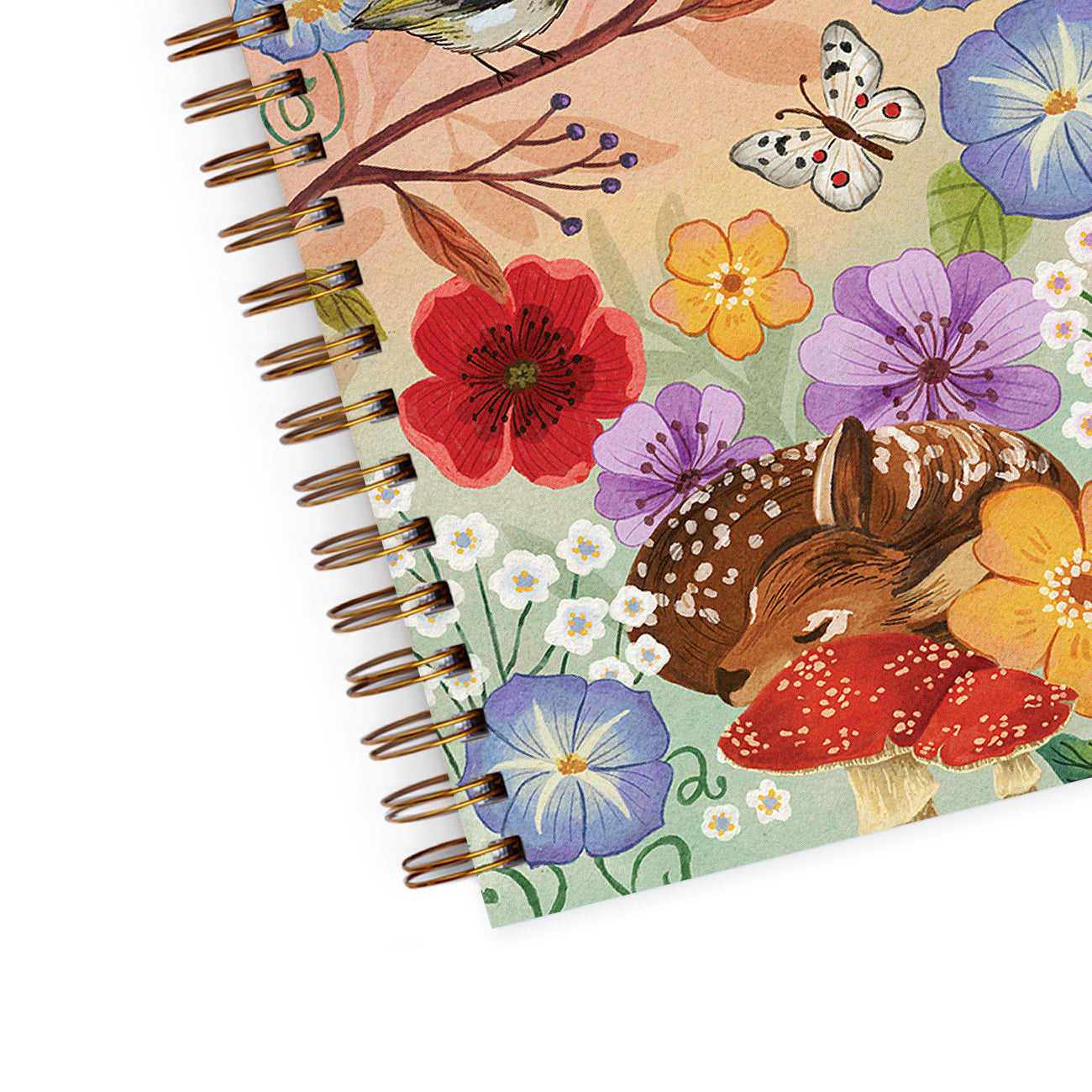 Nedeljni Planer 2026, Auvrea