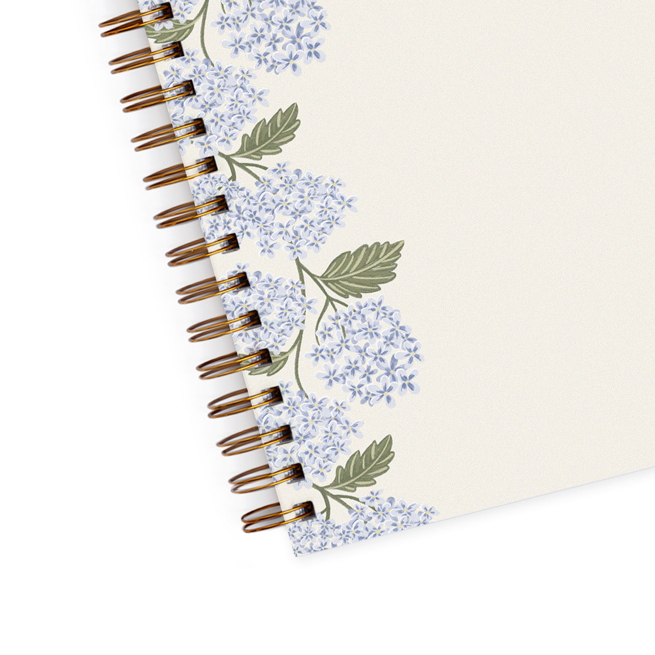 Notes, Blooming Hydrangea