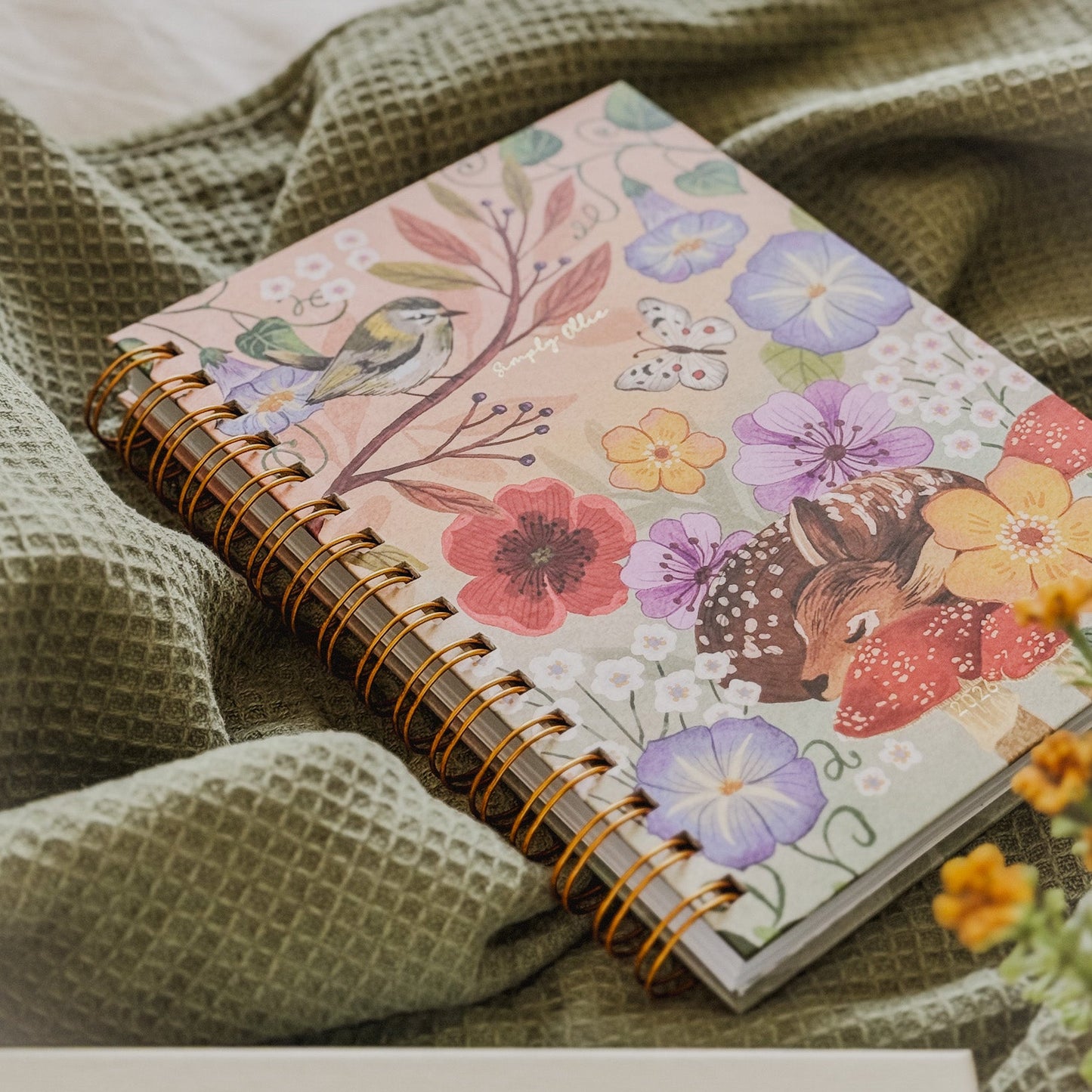 Nedeljni Planer 2026, Auvrea